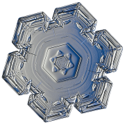 snowflake 11 lis